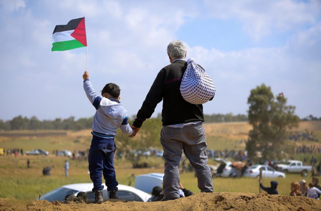 cessez le feu à #gaza des milliers de #Palestiniens exultent de joie #ceasefire #palestine #israel